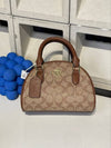 Coach Sydney Satchel Bag