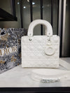 Small Lady Dior My ABCDior Bag