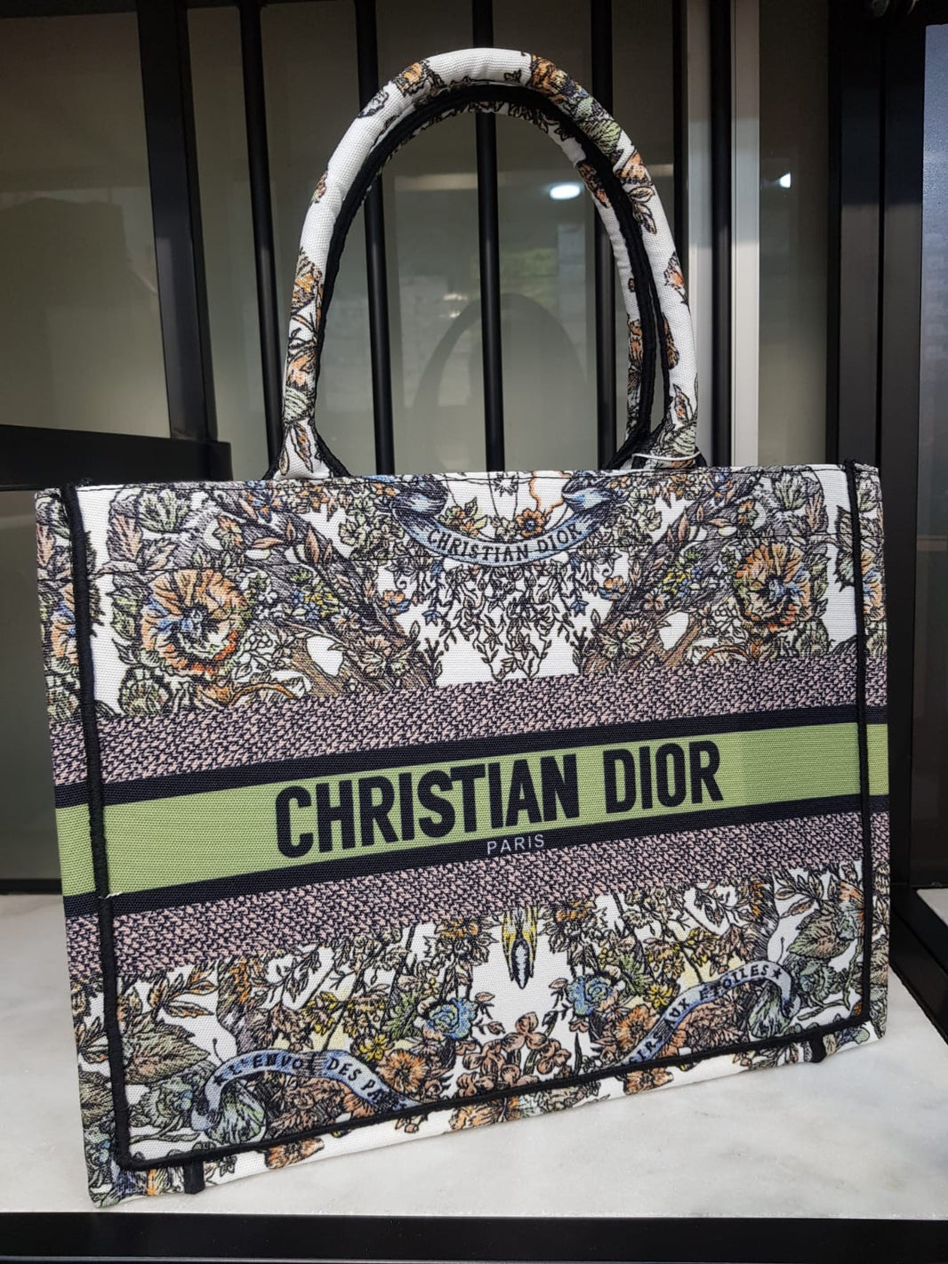 Dior Large Book Tote Solids Multi
