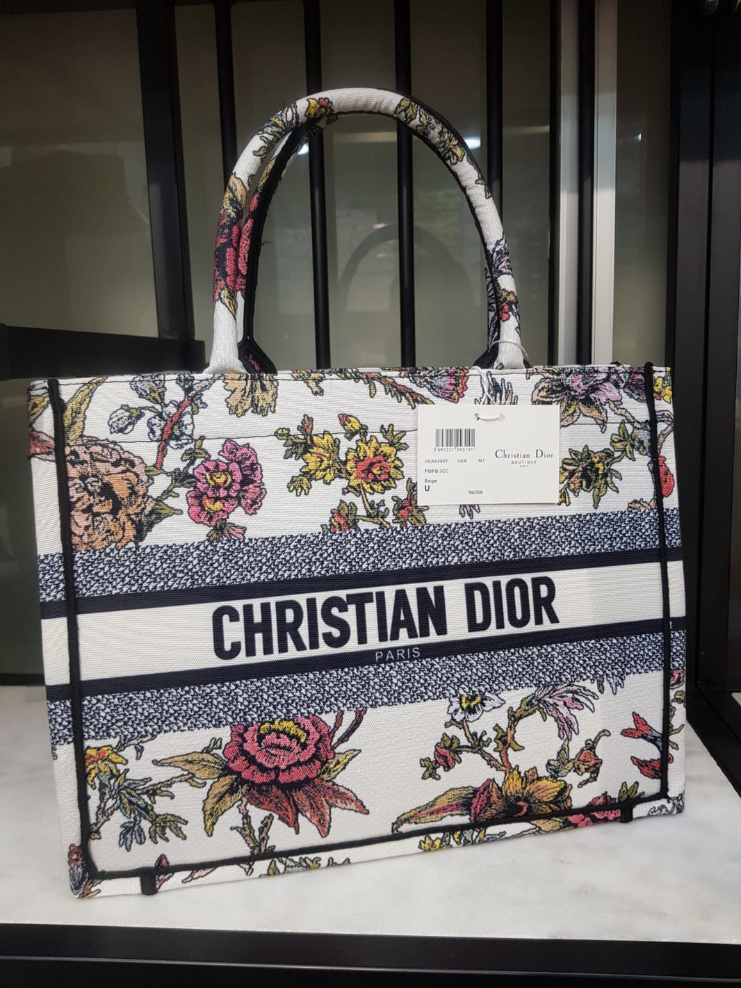 Dior Large Book Tote Solids Multi