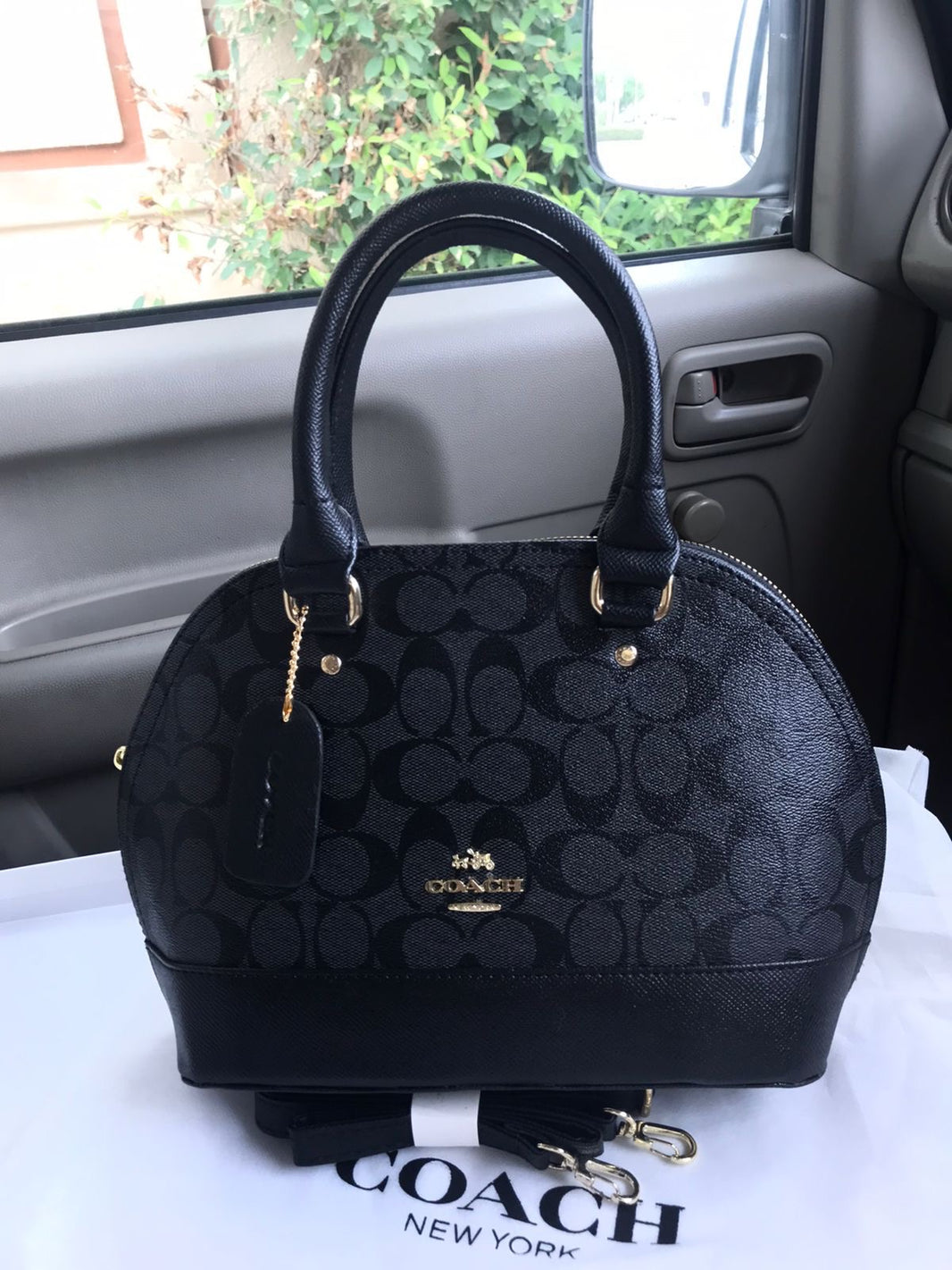 Coach Hanna Caryal Bag