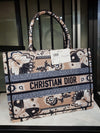 Dior Large Book Tote Solids Multi