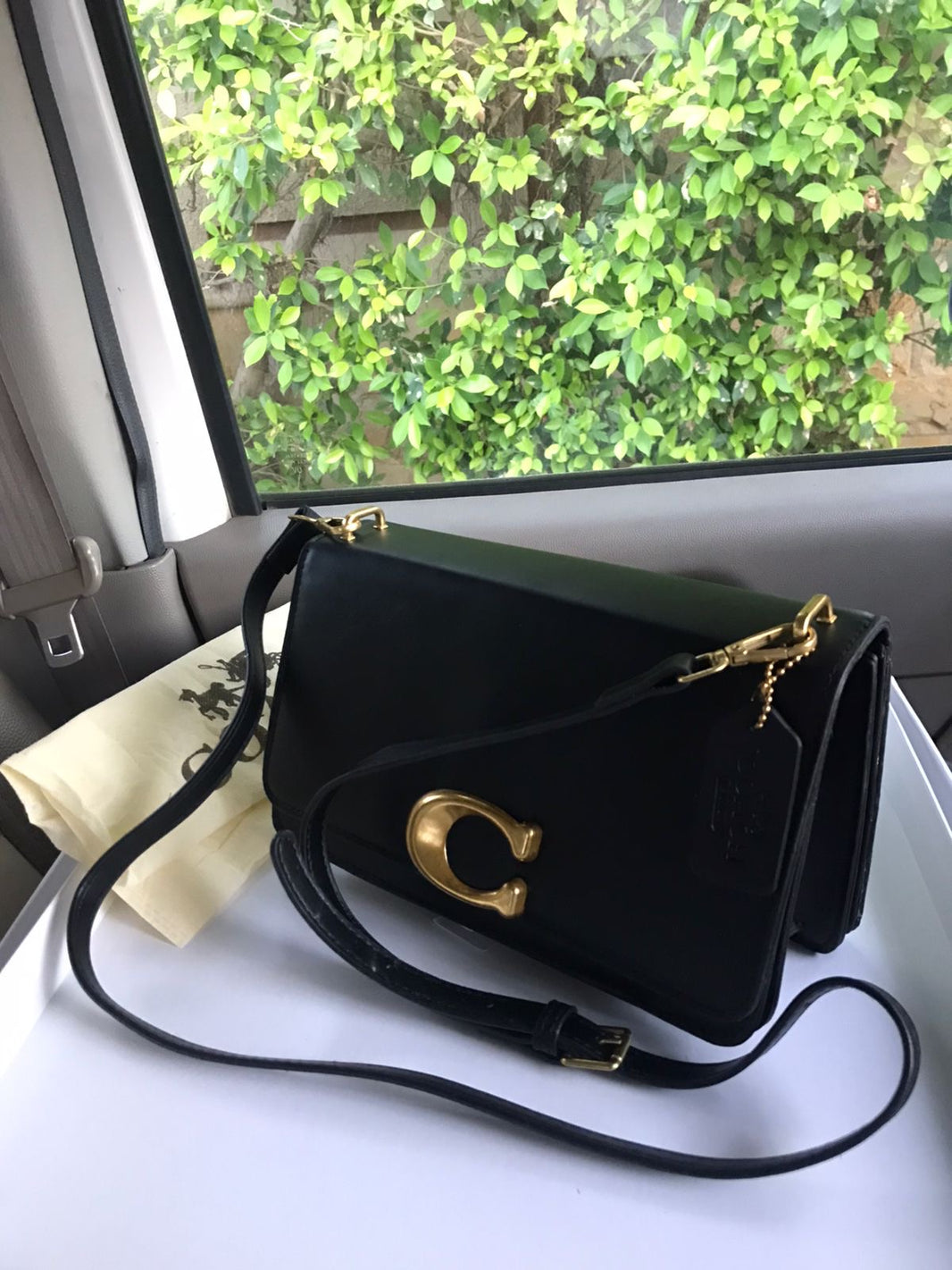 Coach Cowhide Brie Crossbody