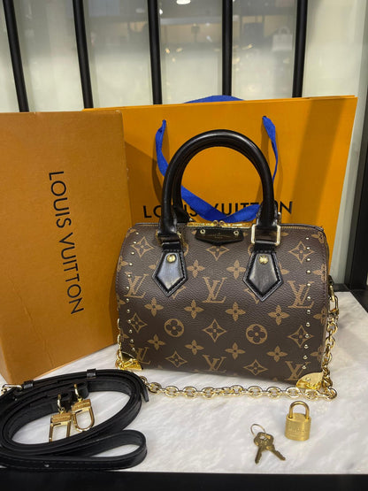 Louis Vuitton Speedy Trunk 20 Bag