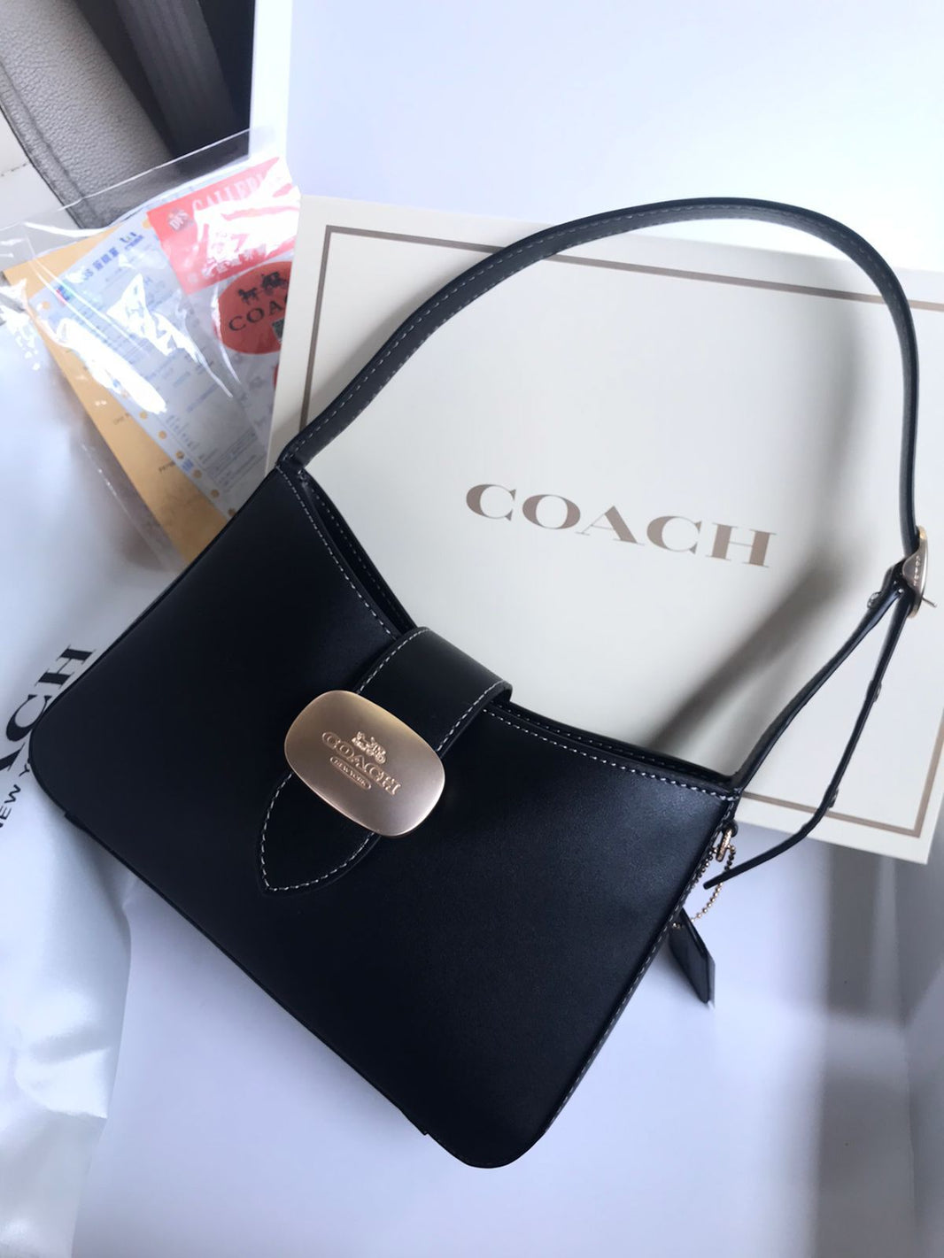 Coach Shoulder Mini Bag