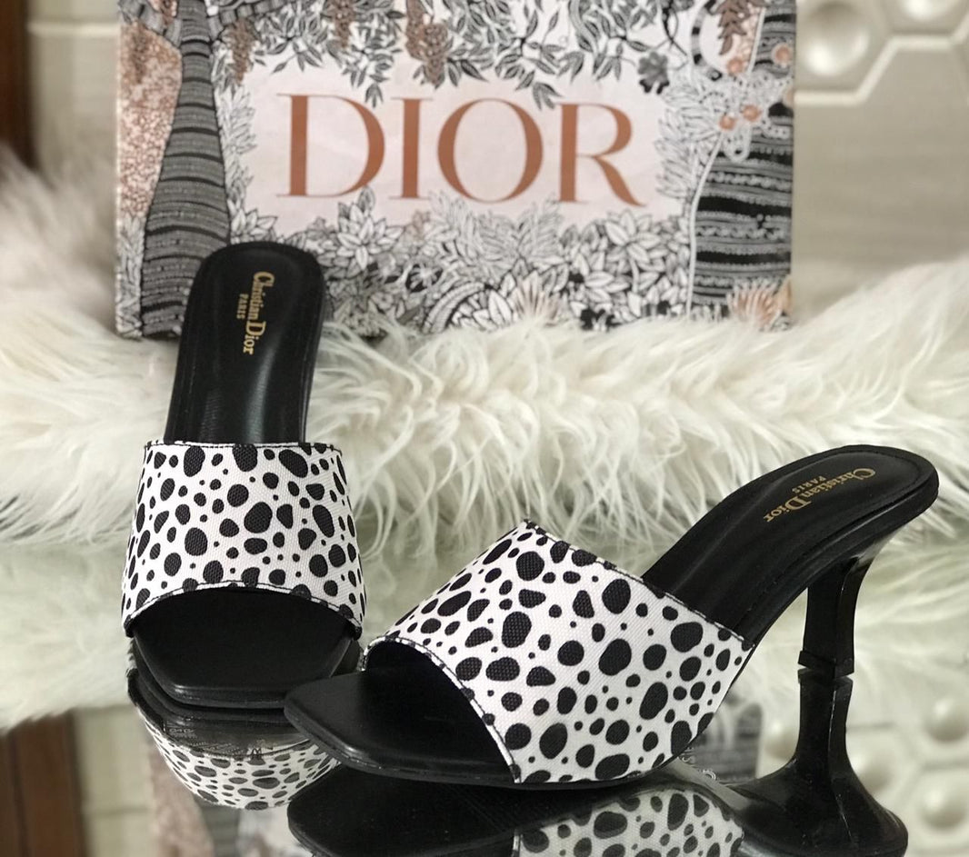 Dior Legacy Heels